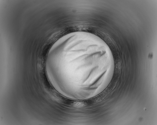 X0000099420218200805301414