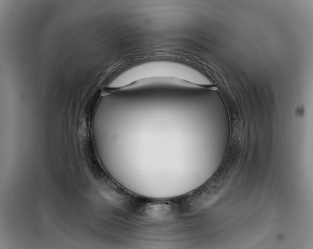 X0000099420220200805301414