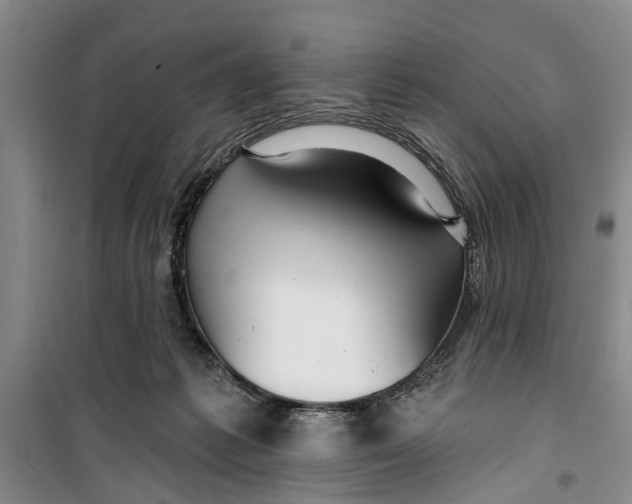 X0000099420221200805301414