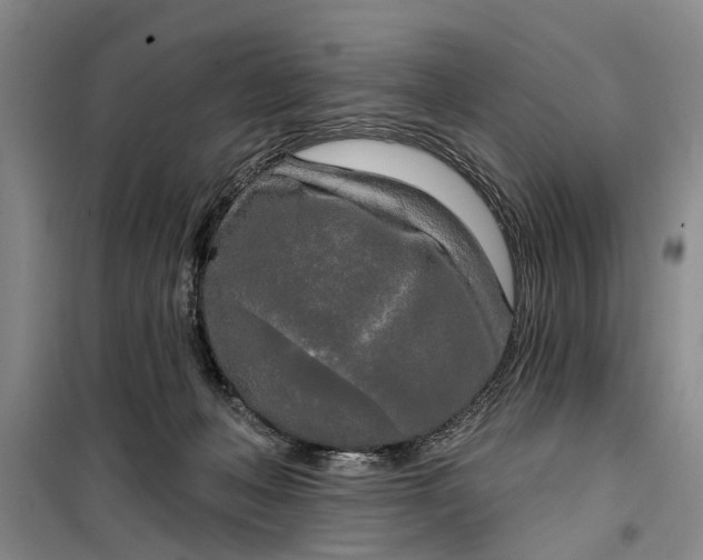 X0000099420222200805301414