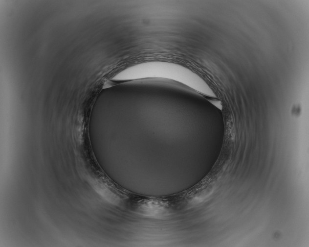 X0000099420223200805301414