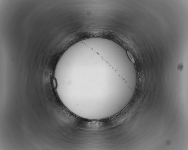 X0000099420225200805301414