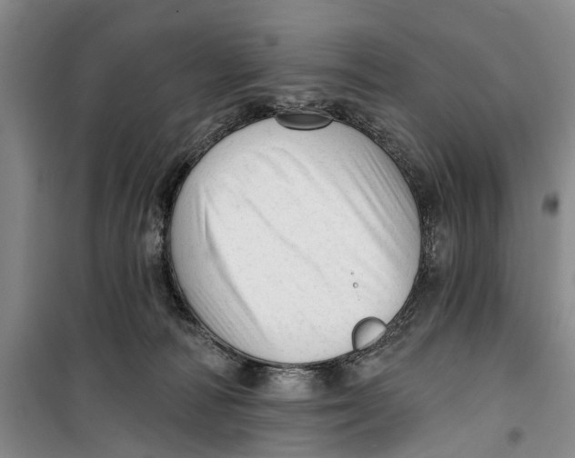 X0000099420226200805301414