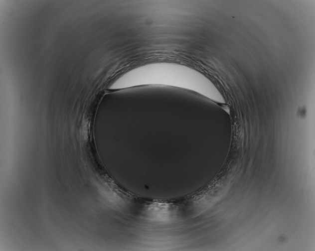 X0000099420227200805301414