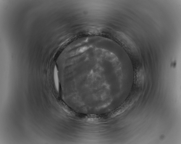 X0000099420228200805301414