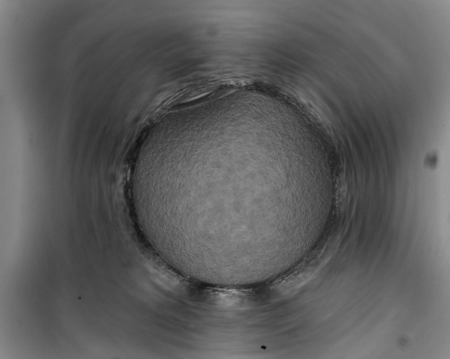 X0000099420229200805301414