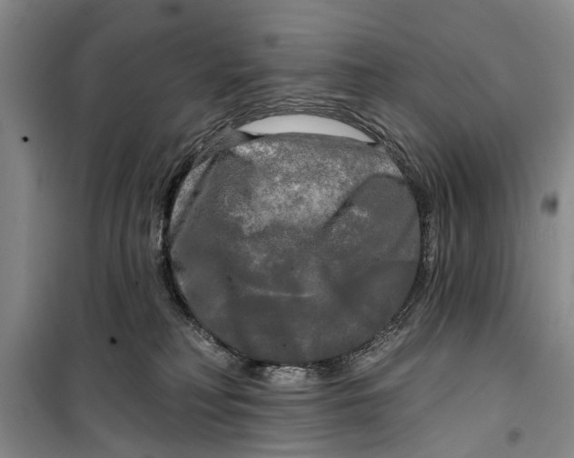 X0000099420230200805301414