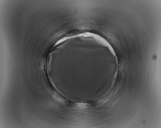 X0000099420233200805301414