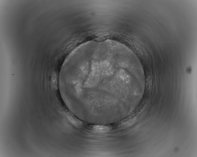 X0000099420234200805301414