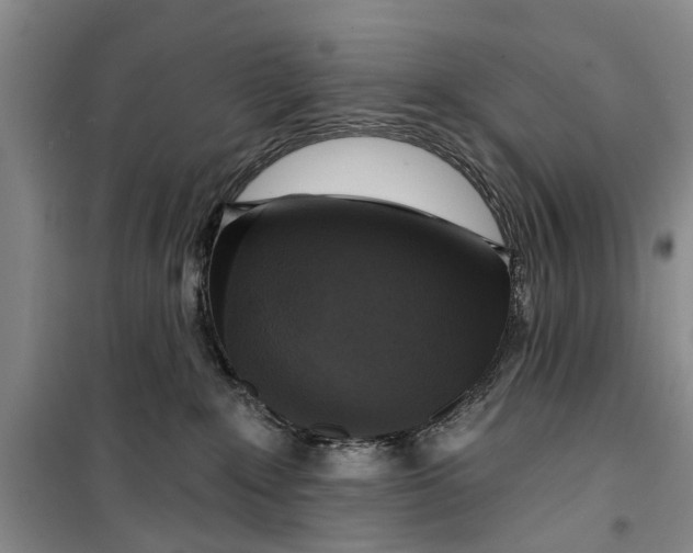 X0000099420235200805301414