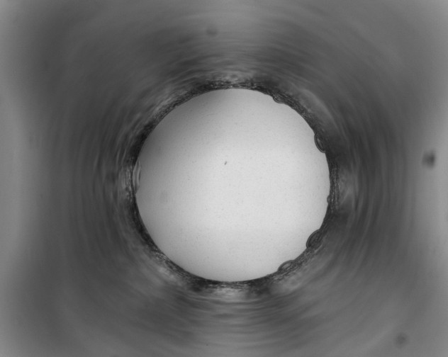 X0000099420236200805301414