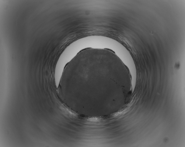 X0000099420237200805301414