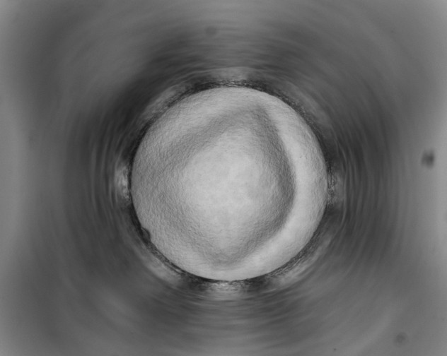 X0000099420238200805301414