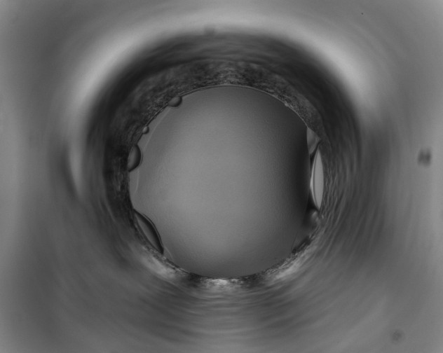 X0000099420239200805301414