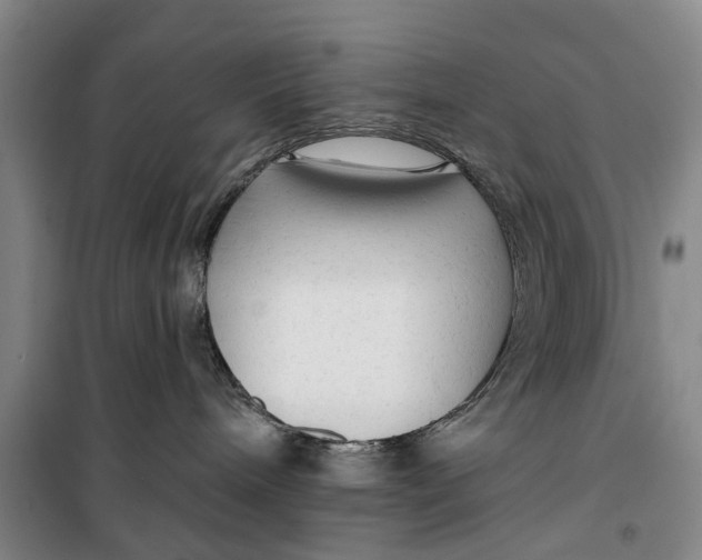 X0000099420240200805301414