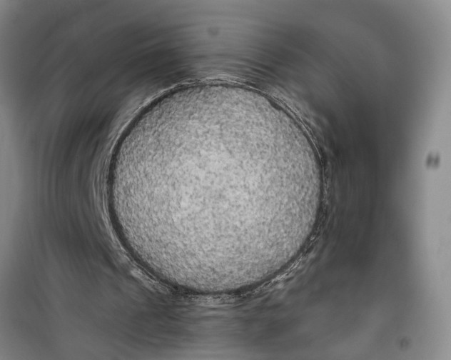 X0000099420241200805301413