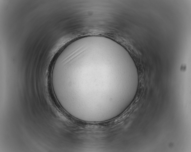 X0000099420242200805301413