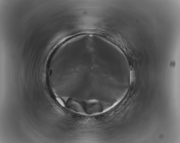 X0000099420243200805301413