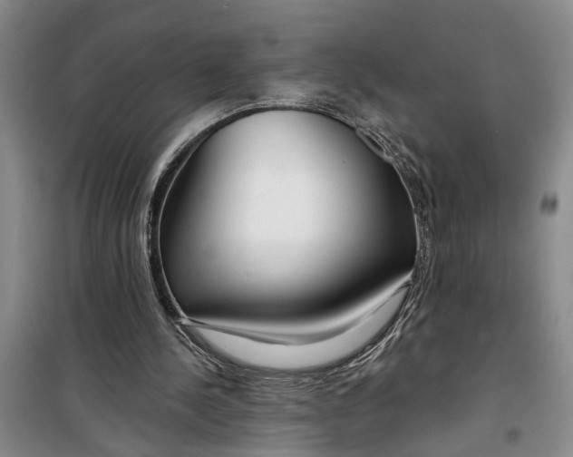 X0000099420244200805301413