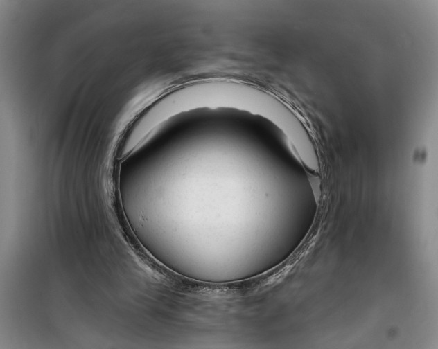 X0000099420245200805301413