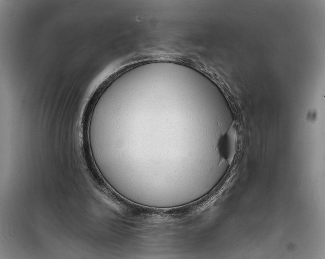 X0000099420246200805301413