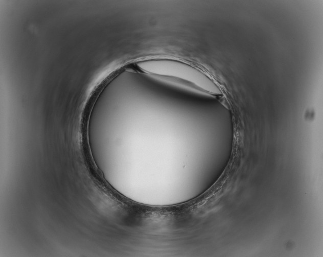 X0000099420248200805301413