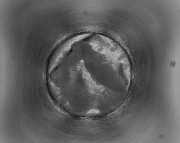 X0000099420249200805301413