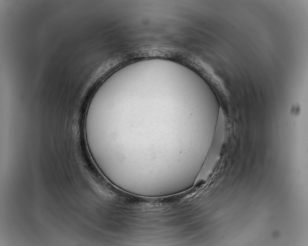 X0000099420250200805301413