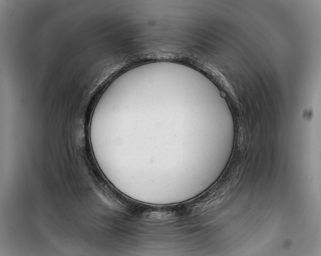 X0000099420251200805301413