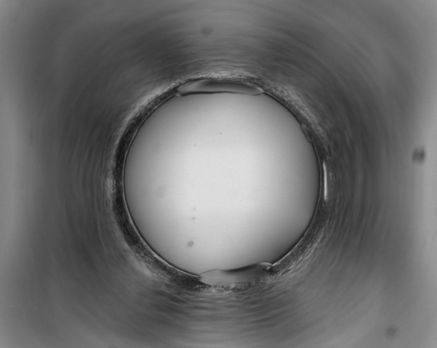 X0000099420252200805301413