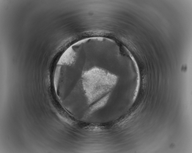 X0000099420254200805301413