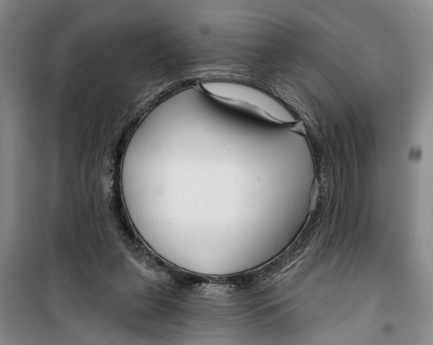 X0000099420255200805301413