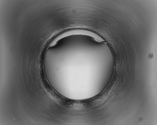 X0000099420256200805301413