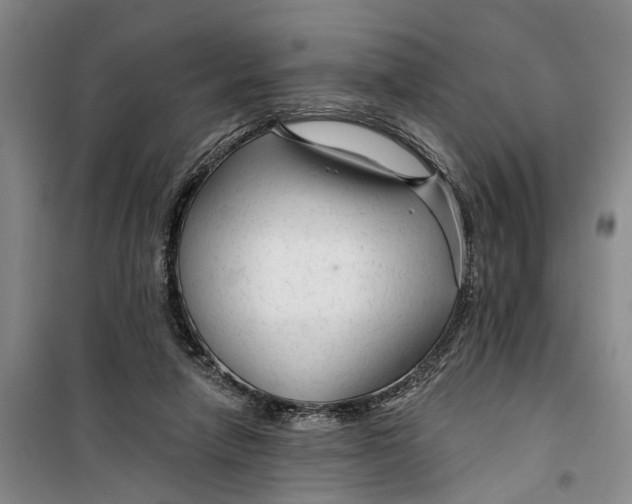 X0000099420258200805301413