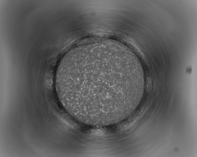 X0000099420259200805301413