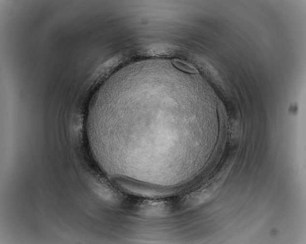 X0000099420260200805301413