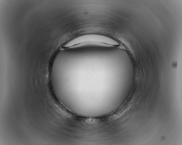 X0000099420261200805301413