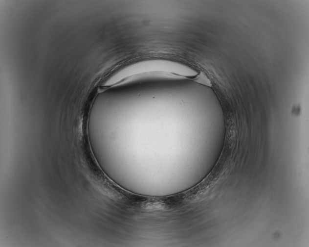 X0000099420262200805301413