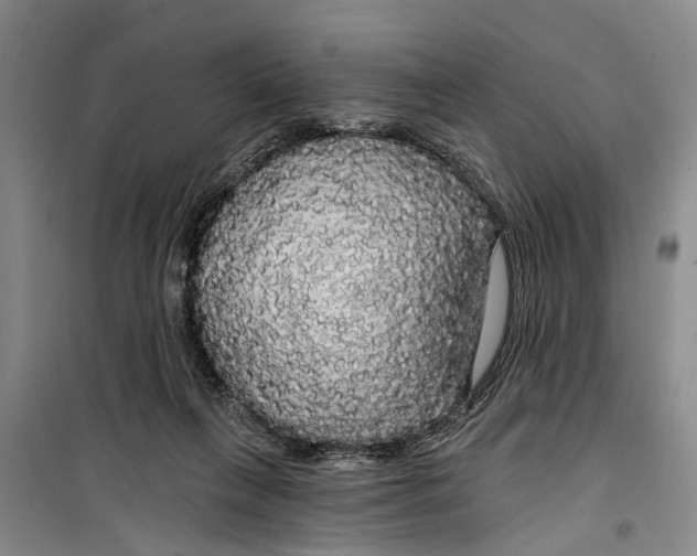 X0000099420263200805301413