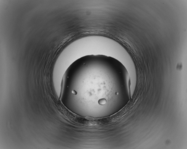 X0000099420264200805301413