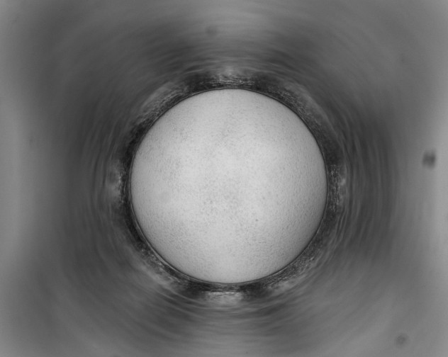 X0000099420266200805301413