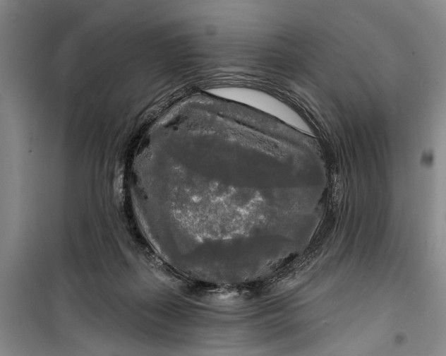 X0000099420267200805301413