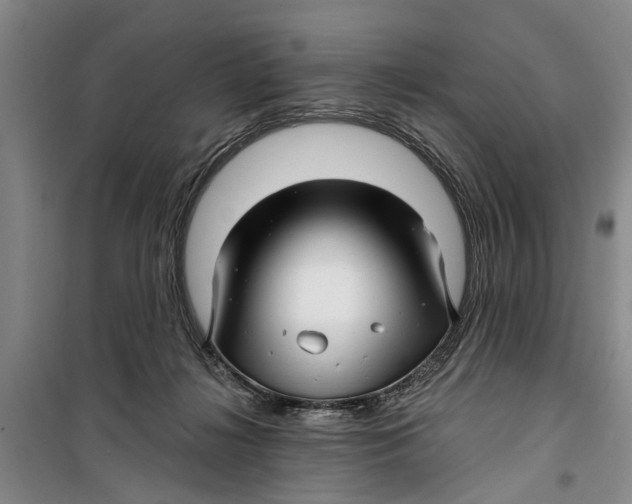 X0000099420268200805301413