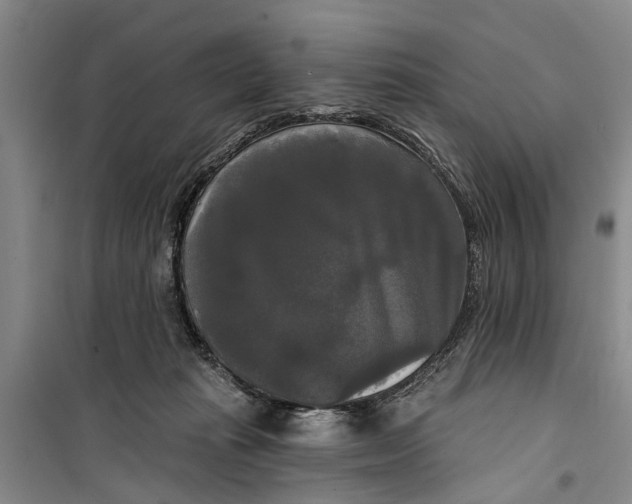 X0000099420269200805301413