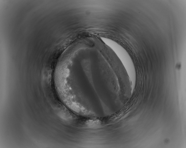 X0000099420271200805301413