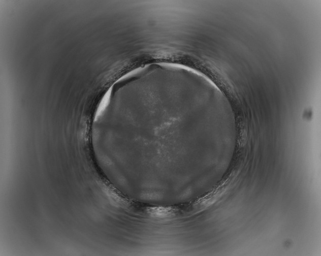 X0000099420273200805301413