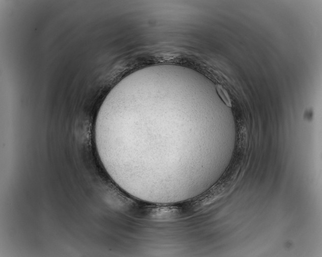 X0000099420274200805301413