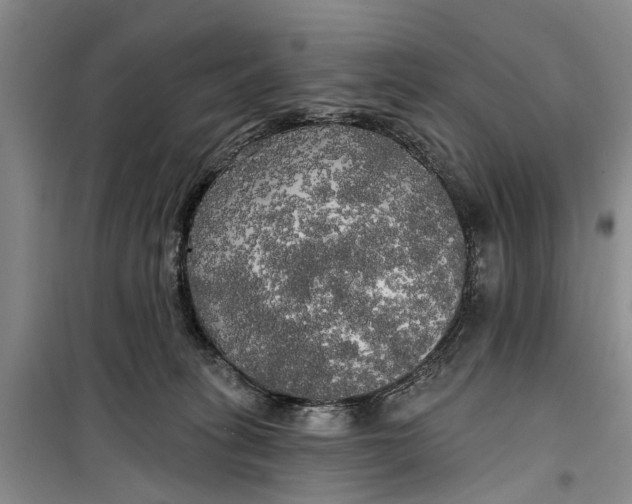 X0000099420275200805301413