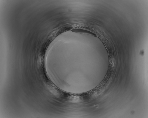 X0000099420276200805301413