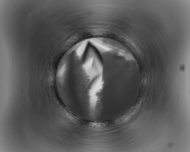 X0000099420277200805301413